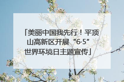 美丽中国我先行！平顶山高新区开展“6·5”世界环境日主题宣传
