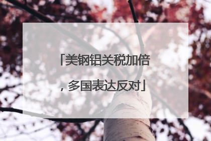 美钢铝关税加倍，多国表达反对
