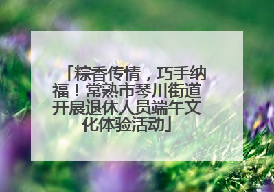 粽香传情，巧手纳福！常熟市琴川街道开展退休人员端午文化体验活动