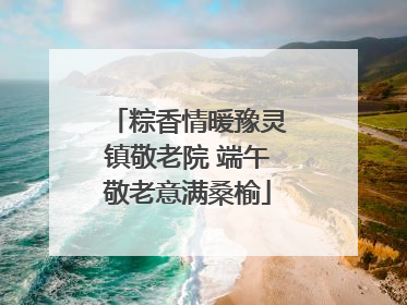 粽香情暖豫灵镇敬老院 端午敬老意满桑榆