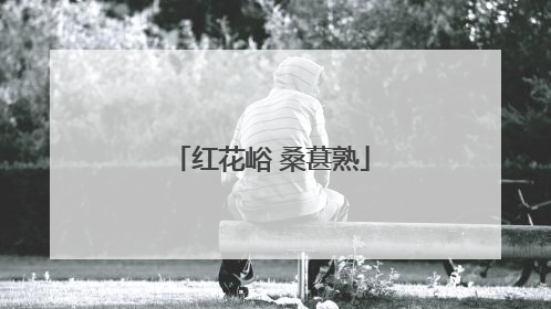 红花峪 桑葚熟