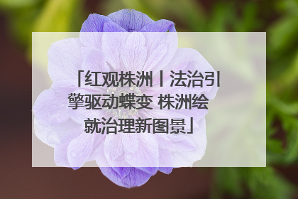 红观株洲丨法治引擎驱动蝶变 株洲绘就治理新图景