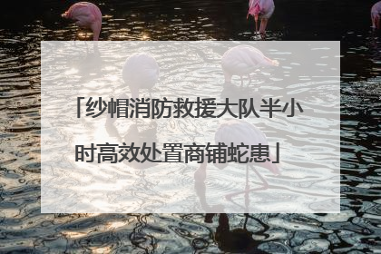 纱帽消防救援大队半小时高效处置商铺蛇患