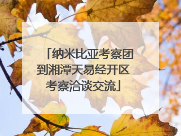 纳米比亚考察团到湘潭天易经开区考察洽谈交流