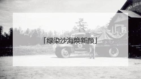 绿染沙海焕新颜