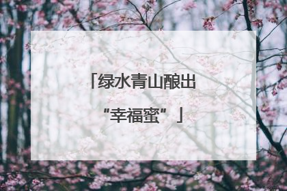 绿水青山酿出“幸福蜜”