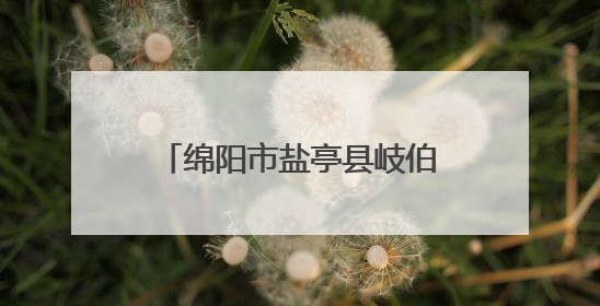 绵阳市盐亭县岐伯幼儿园与石龙幼儿园开展联合教研活动