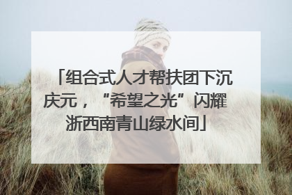 组合式人才帮扶团下沉庆元，“希望之光”闪耀浙西南青山绿水间