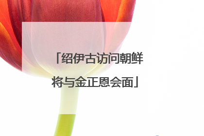 绍伊古访问朝鲜 将与金正恩会面