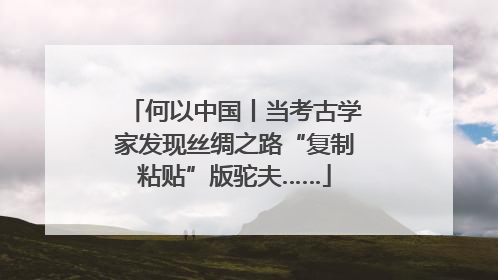 何以中国丨当考古学家发现丝绸之路“复制粘贴”版驼夫……