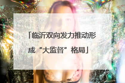 临沂双向发力推动形成“大监督”格局