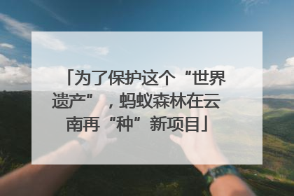 为了保护这个“世界遗产”，蚂蚁森林在云南再“种”新项目