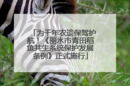 为千年农遗保驾护航！《丽水市青田稻鱼共生系统保护发展条例》正式施行