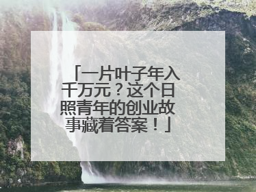 一片叶子年入千万元？这个日照青年的创业故事藏着答案！