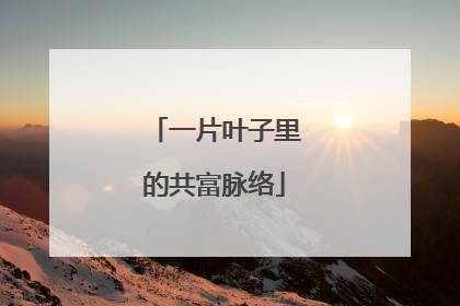 一片叶子里的共富脉络