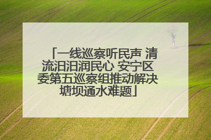 一线巡察听民声 清流汨汨润民心 安宁区委第五巡察组推动解决塘坝通水难题