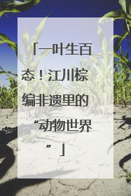 一叶生百态！江川棕编非遗里的“动物世界”