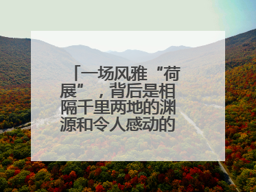 一场风雅“荷展”，背后是相隔千里两地的渊源和令人感动的历史人文情怀