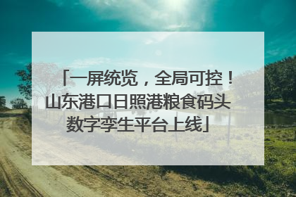 一屏统览，全局可控！山东港口日照港粮食码头数字孪生平台上线