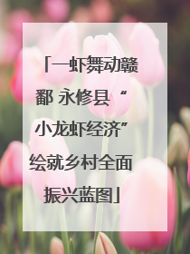 一虾舞动赣鄱 永修县“小龙虾经济”绘就乡村全面振兴蓝图