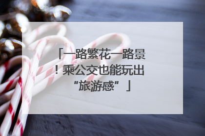 一路繁花一路景！乘公交也能玩出“旅游感”