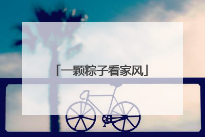 一颗粽子看家风
