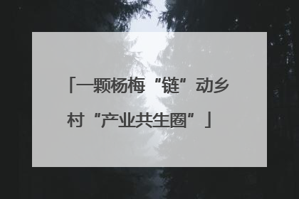 一颗杨梅“链”动乡村“产业共生圈”