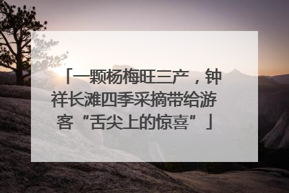 一颗杨梅旺三产，钟祥长滩四季采摘带给游客“舌尖上的惊喜”