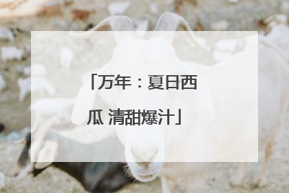 万年：夏日西瓜 清甜爆汁