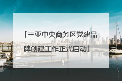 三亚中央商务区党建品牌创建工作正式启动