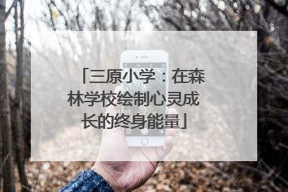 三原小学：在森林学校绘制心灵成长的终身能量