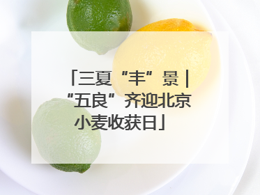 三夏“丰”景｜“五良”齐迎北京小麦收获日