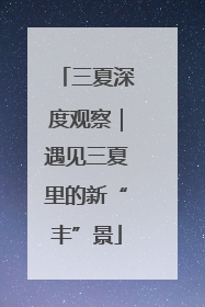 三夏深度观察｜遇见三夏里的新“丰”景