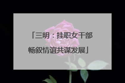 三明：挂职女干部畅叙情谊共谋发展