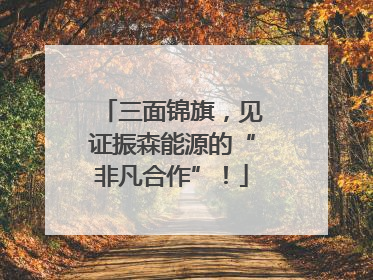 三面锦旗，见证振森能源的“非凡合作”！