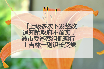 上级多次下发整改通知镇政府不落实，被市委巡察组抓现行！吉林一副镇长受党内警告处分