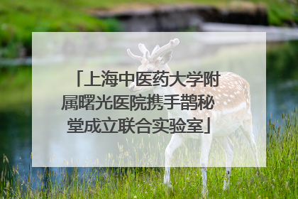 上海中医药大学附属曙光医院携手鹊秘堂成立联合实验室
