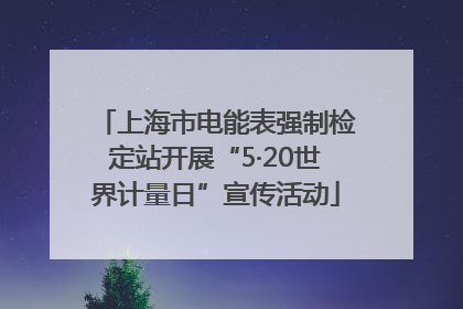 上海市电能表强制检定站开展“5·20世界计量日”宣传活动