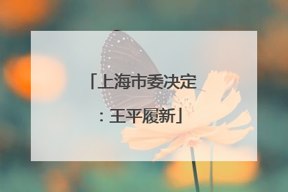上海市委决定：王平履新