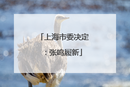 上海市委决定：张鸣履新