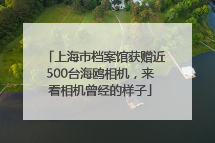 上海市档案馆获赠近500台海鸥相机，来看相机曾经的样子