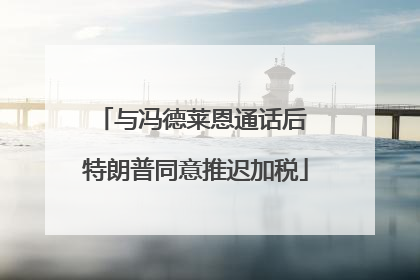 与冯德莱恩通话后 特朗普同意推迟加税