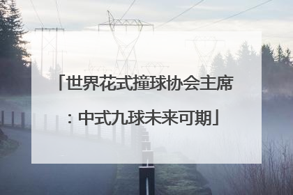 世界花式撞球协会主席：中式九球未来可期