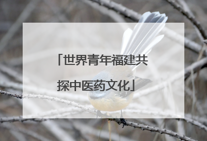 世界青年福建共探中医药文化