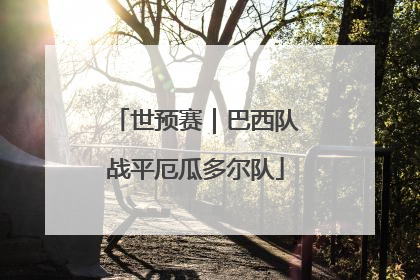 世预赛｜巴西队战平厄瓜多尔队