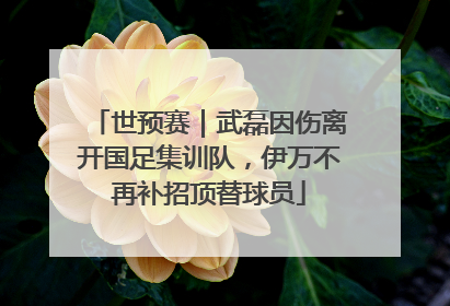 世预赛｜武磊因伤离开国足集训队，伊万不再补招顶替球员