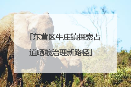 东营区牛庄镇探索占道晒粮治理新路径