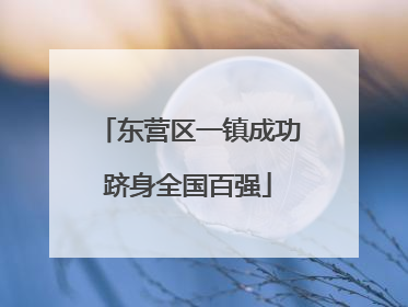 东营区一镇成功跻身全国百强