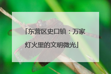 东营区史口镇：万家灯火里的文明微光