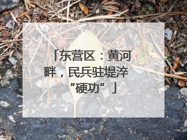 东营区：黄河畔，民兵驻堤淬“硬功”